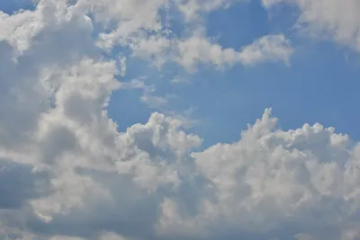 DSC_3926 (Large).JPG